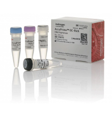 ДНК-полимераза AccuPrime GC-Rich DNA Polymerase, Thermo FS