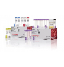 Набор Zero Blunt PCR Cloning Kit, Thermo FS